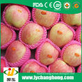 fresh fuji apples for sale with lowest price